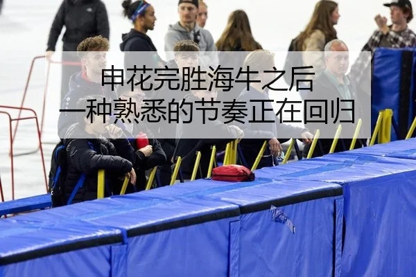 申花完胜海牛之后 一种熟悉的节奏正在回归